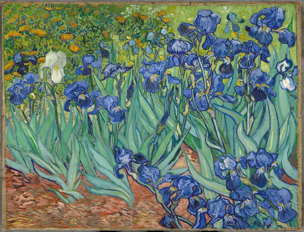 Irises — Vincent van Gogh