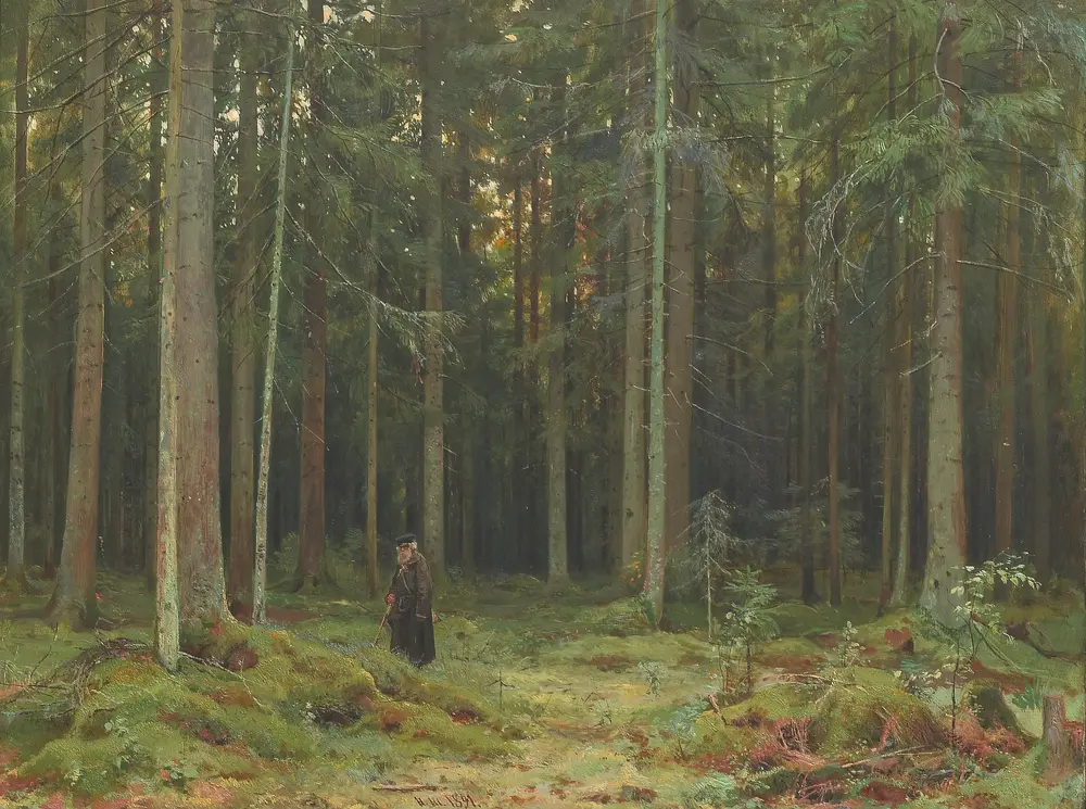 In Countess Mordvinova's Wood. Peterhof. — Shishkin Ivan Ivanovich