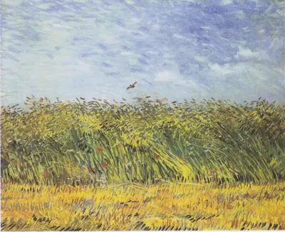Wheat Field with a Lark