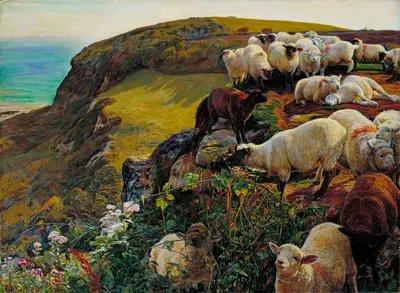 Our English Coasts or Strayed Sheep