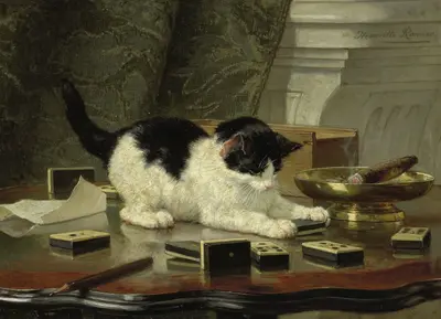 The cat at play
