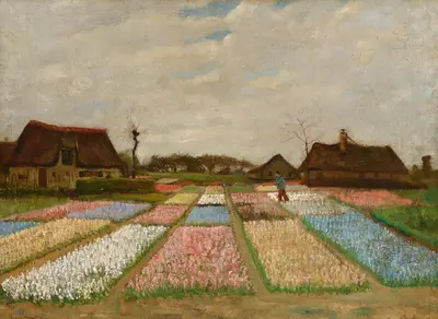 Bulb Fields